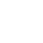 iron tv max pro